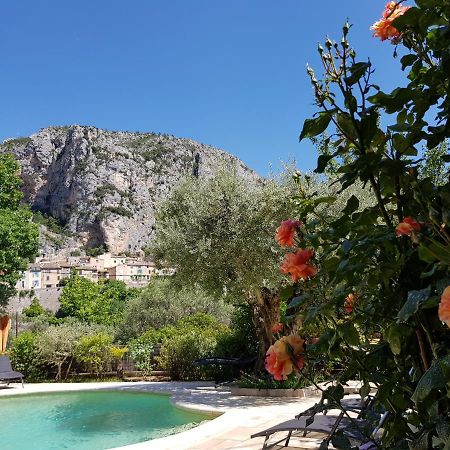 Bastide Des Oliviers Bed & Breakfast Moustiers-Sainte-Marie Eksteriør bilde