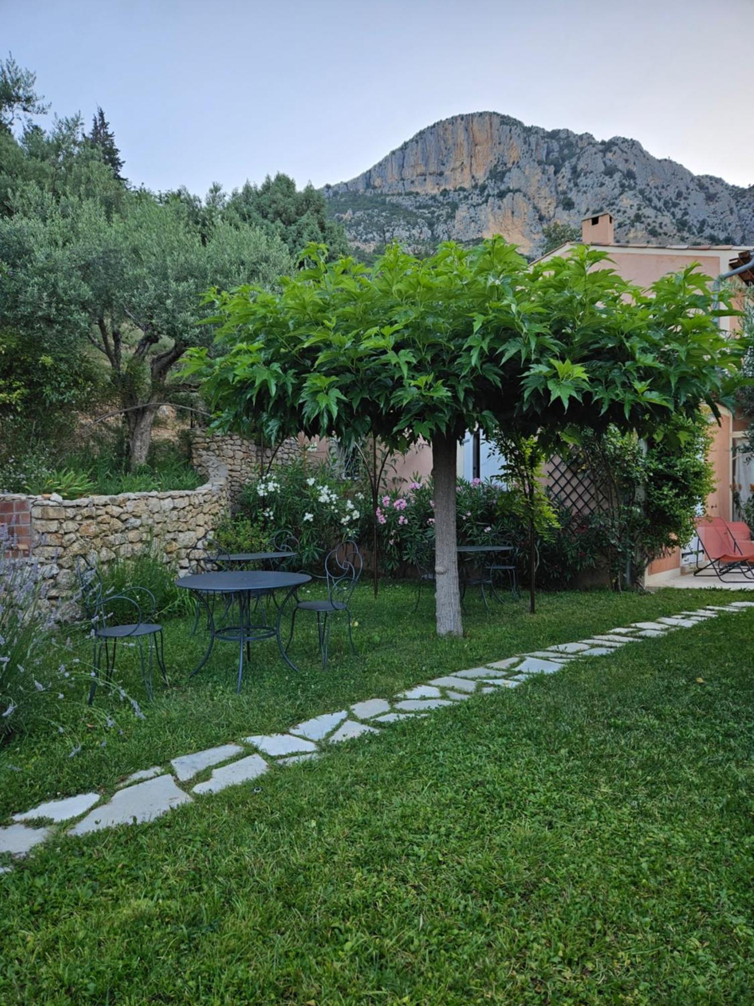 Bastide Des Oliviers Bed & Breakfast Moustiers-Sainte-Marie Eksteriør bilde